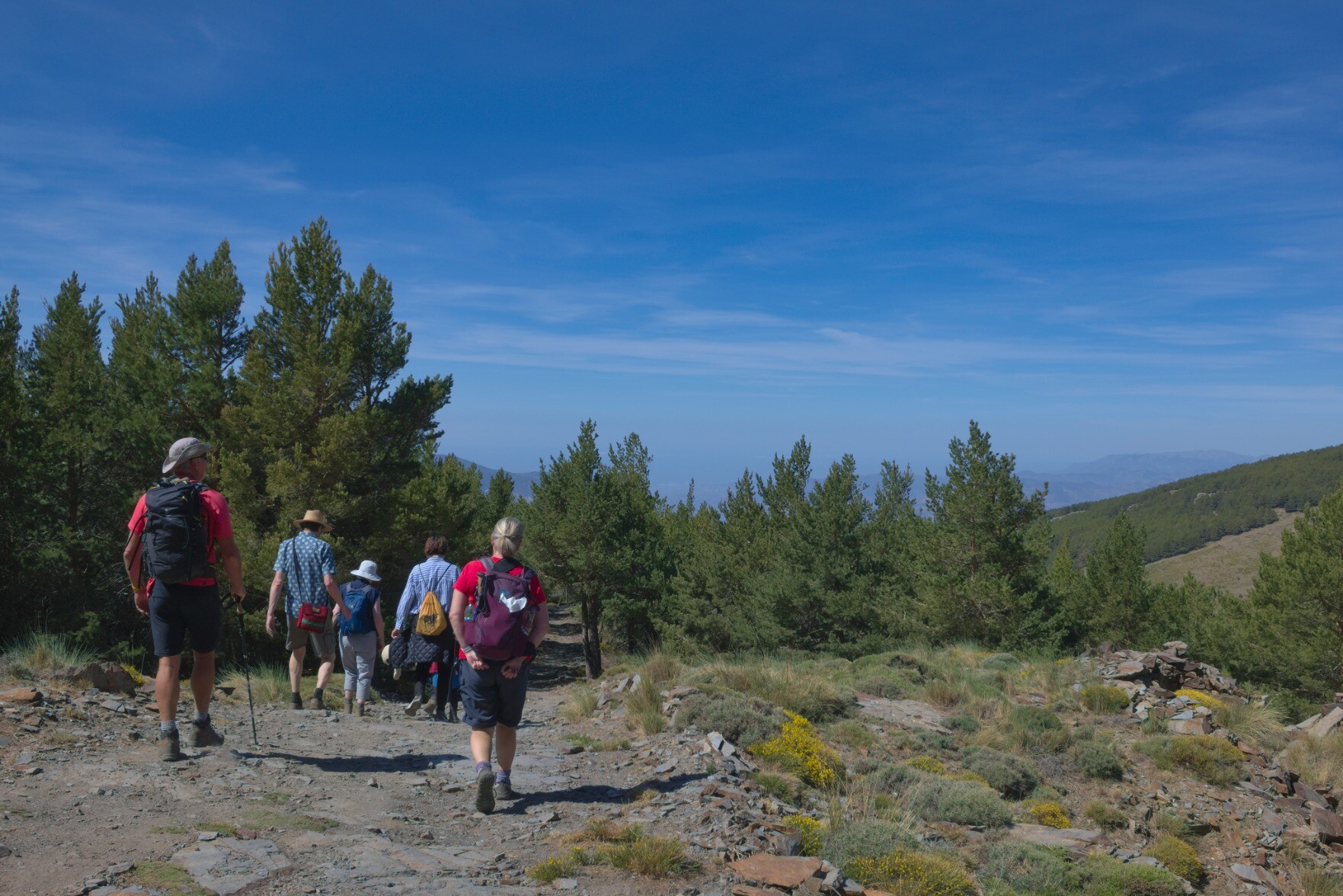 A group of hikers enter a forest, above is a huge blue sky