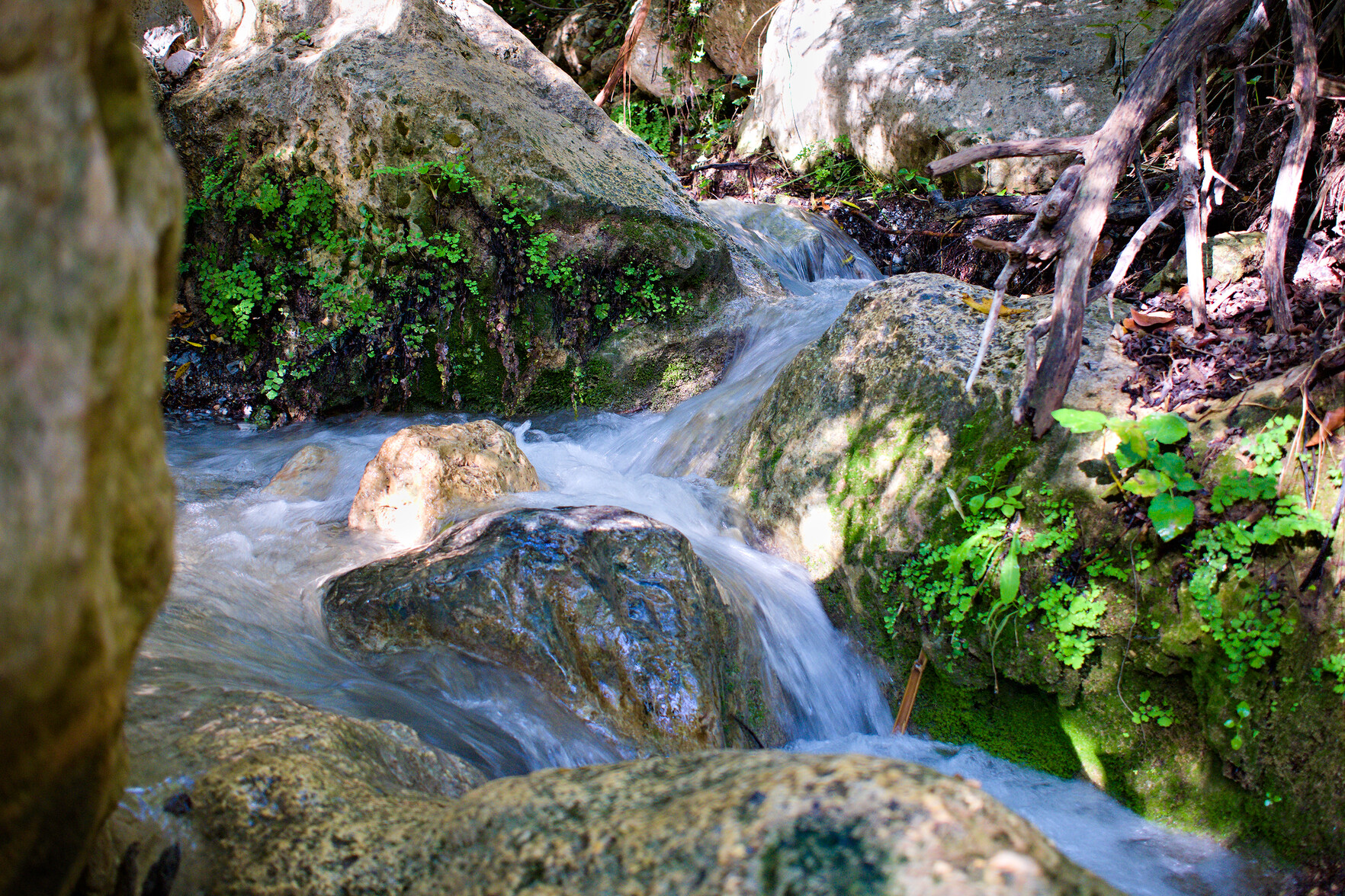 Water tumbles down a mountain stream lined with rocks and green ferns push out from the rocks